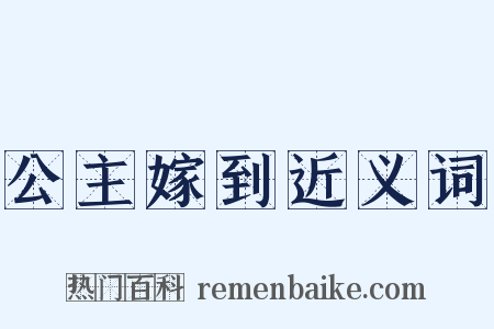 公主嫁到近义词是什么意思的图片